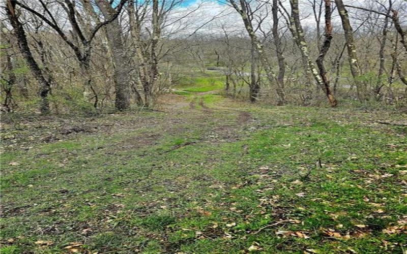 100 Jersey Hollow Rd, Confluence, 15424, ,Farm-acreage-lot,For Sale,None,Jersey Hollow Rd,1698680