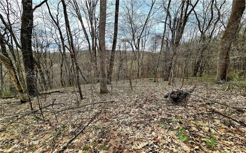 100 Jersey Hollow Rd, Confluence, 15424, ,Farm-acreage-lot,For Sale,None,Jersey Hollow Rd,1698680