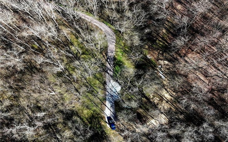 100 Jersey Hollow Rd, Confluence, 15424, ,Farm-acreage-lot,For Sale,None,Jersey Hollow Rd,1698680
