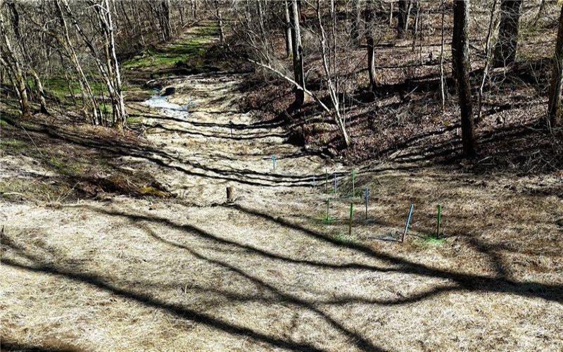 100 Jersey Hollow Rd, Confluence, 15424, ,Farm-acreage-lot,For Sale,None,Jersey Hollow Rd,1698680