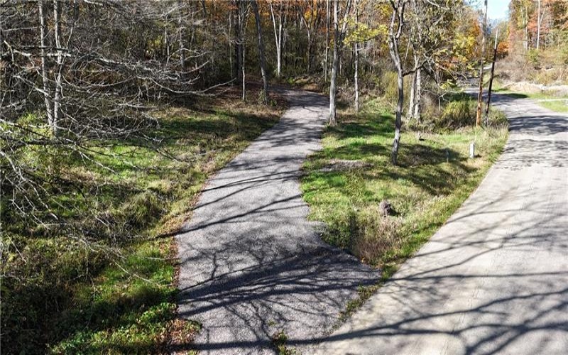 100 Jersey Hollow Rd, Confluence, 15424, ,Farm-acreage-lot,For Sale,None,Jersey Hollow Rd,1698680