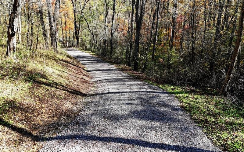 100 Jersey Hollow Rd, Confluence, 15424, ,Farm-acreage-lot,For Sale,None,Jersey Hollow Rd,1698680