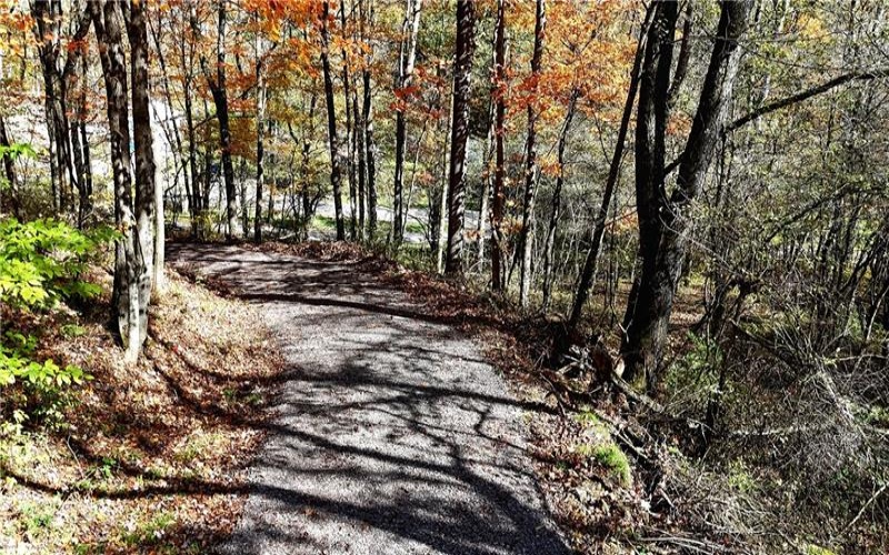 100 Jersey Hollow Rd, Confluence, 15424, ,Farm-acreage-lot,For Sale,None,Jersey Hollow Rd,1698680