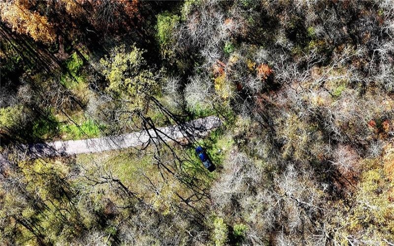 100 Jersey Hollow Rd, Confluence, 15424, ,Farm-acreage-lot,For Sale,None,Jersey Hollow Rd,1698680