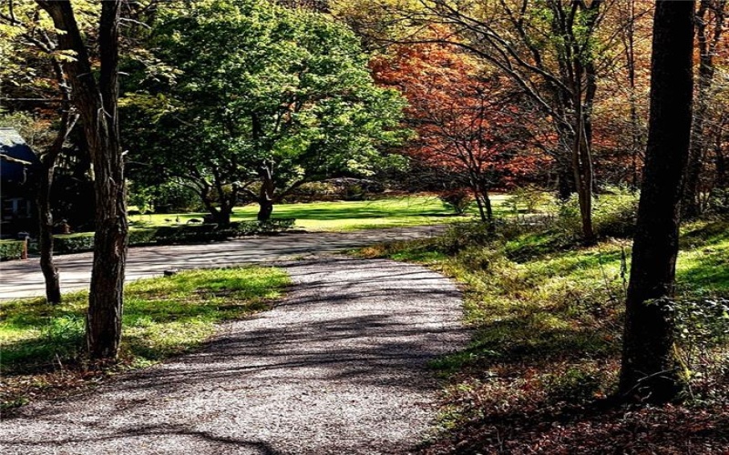 100 Jersey Hollow Rd, Confluence, 15424, ,Farm-acreage-lot,For Sale,None,Jersey Hollow Rd,1698680