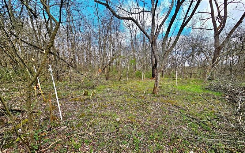 100 Jersey Hollow Rd, Confluence, 15424, ,Farm-acreage-lot,For Sale,None,Jersey Hollow Rd,1698680