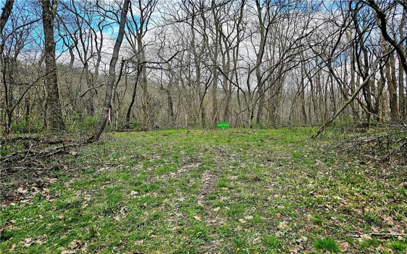 100 Jersey Hollow Rd, Confluence, 15424, ,Farm-acreage-lot,For Sale,None,Jersey Hollow Rd,1698680