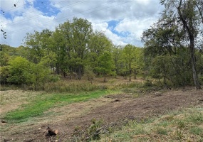 000 Corner of Ross and Thomas Rd, Eighty Four, 15330, ,Farm-acreage-lot,For Sale,Corner of Ross and Thomas Rd,1699088