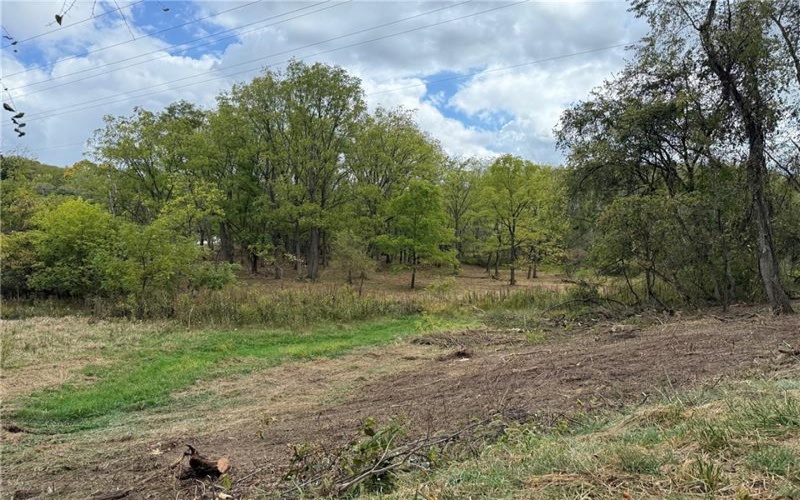 000 Corner of Ross and Thomas Rd, Eighty Four, 15330, ,Farm-acreage-lot,For Sale,Corner of Ross and Thomas Rd,1699088