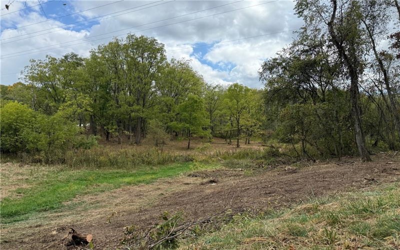 000 Corner of Ross and Thomas Rd, Eighty Four, 15330, ,Farm-acreage-lot,For Sale,Corner of Ross and Thomas Rd,1699088