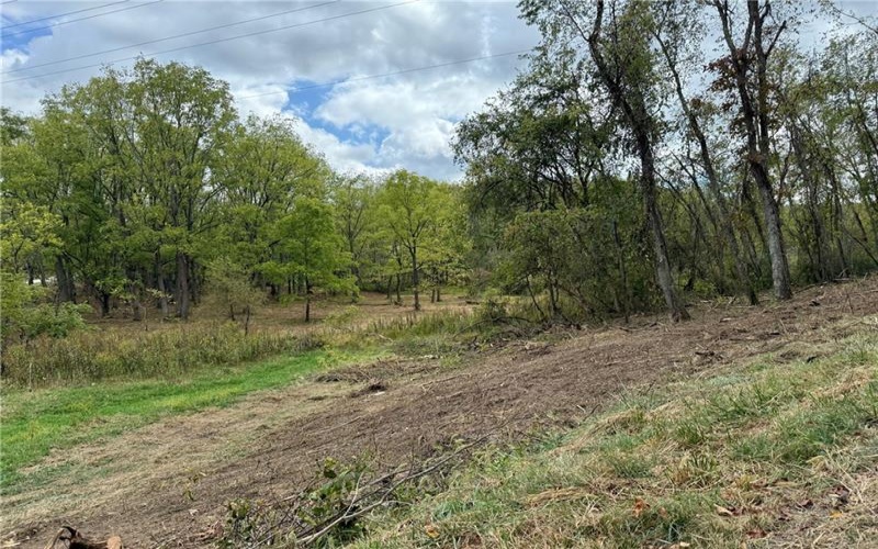 000 Corner of Ross and Thomas Rd, Eighty Four, 15330, ,Farm-acreage-lot,For Sale,Corner of Ross and Thomas Rd,1699088