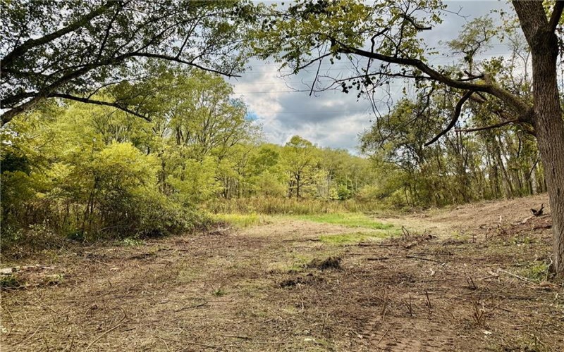 000 Corner of Ross and Thomas Rd, Eighty Four, 15330, ,Farm-acreage-lot,For Sale,Corner of Ross and Thomas Rd,1699088