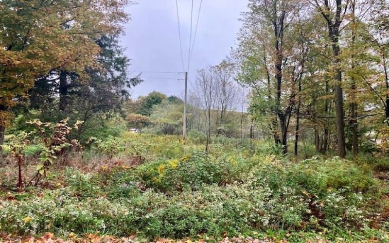 0 Pike Road, Johnstown, 15909, ,Farm-acreage-lot,For Sale,none,Pike Road,1673998