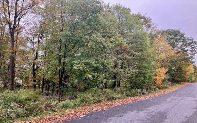 0 Pike Road, Johnstown, 15909, ,Farm-acreage-lot,For Sale,none,Pike Road,1673998