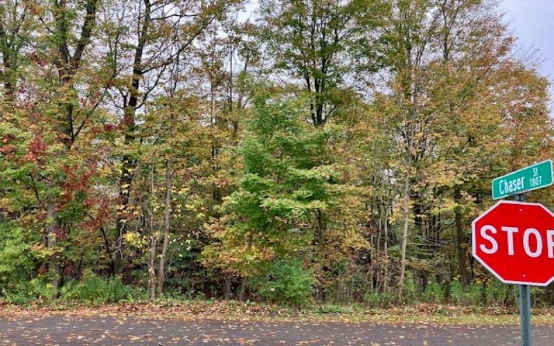 0 Pike Road, Johnstown, 15909, ,Farm-acreage-lot,For Sale,none,Pike Road,1673998