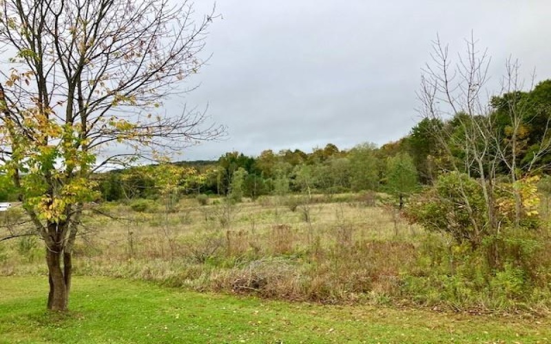 0 Pike Road, Johnstown, 15909, ,Farm-acreage-lot,For Sale,none,Pike Road,1673998