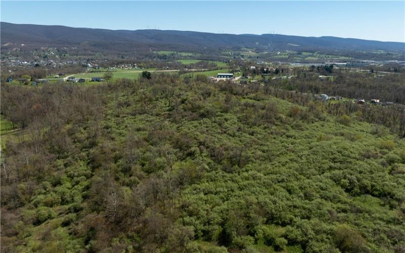 2668 Morgantown Rd, Uniontown, 15401, ,Farm-acreage-lot,For Sale,None,Morgantown Rd,1698523