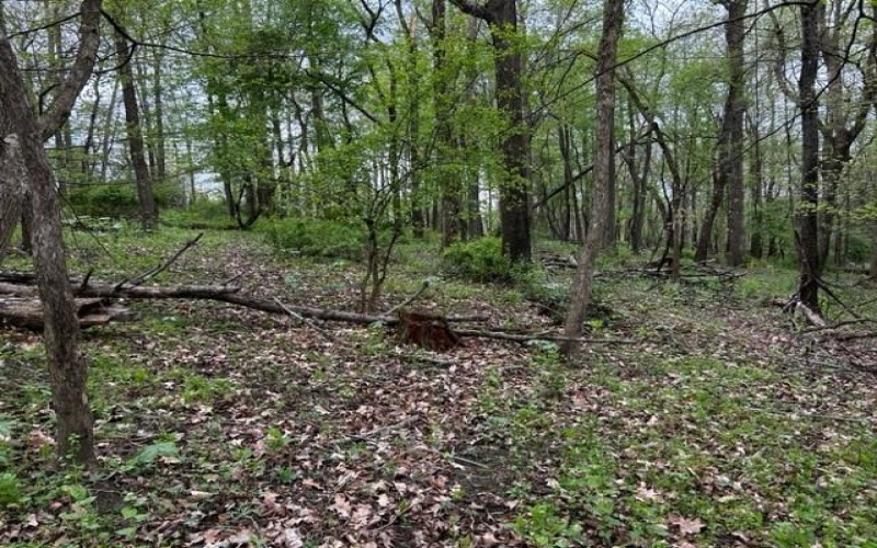 Lot 216 Thompsonville Road, McMurray, 15317, ,Farm-acreage-lot,For Sale,Thompsonville Road,1699195