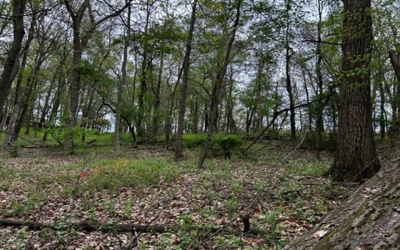 Lot 216 Thompsonville Road, McMurray, 15317, ,Farm-acreage-lot,For Sale,Thompsonville Road,1699195