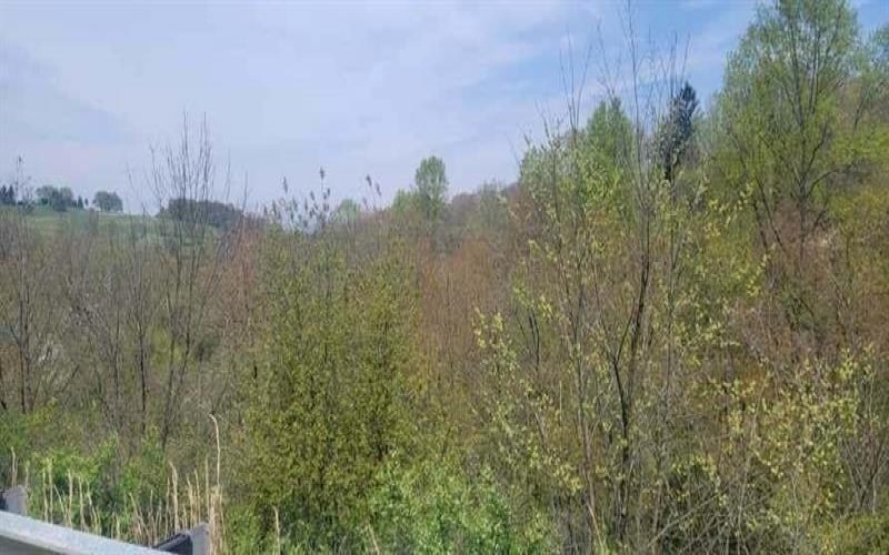 138 Beaver Run, Apollo, 15613, ,Farm-acreage-lot,For Sale,Beaver Run,1699139