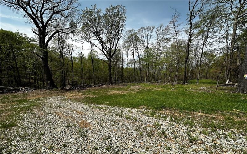 26115 Jumonville Rd, Hopwood, 15445, ,Farm-acreage-lot,For Sale,Jumonville Rd,1699498