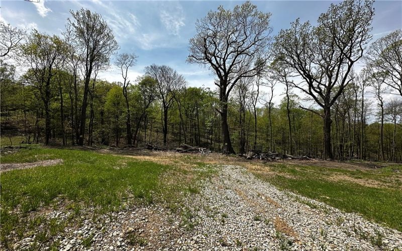 26115 Jumonville Rd, Hopwood, 15445, ,Farm-acreage-lot,For Sale,Jumonville Rd,1699498