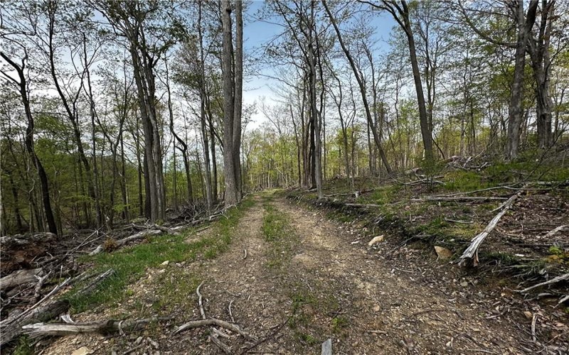 26115 Jumonville Rd, Hopwood, 15445, ,Farm-acreage-lot,For Sale,Jumonville Rd,1699498