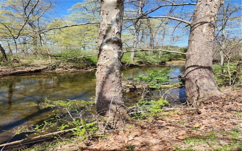 512 Brigade Ln, Ligonier, 15658, 3 Bedrooms Bedrooms, 6 Rooms Rooms,2 BathroomsBathrooms,Residential,For Sale,Brigade Ln,1699532