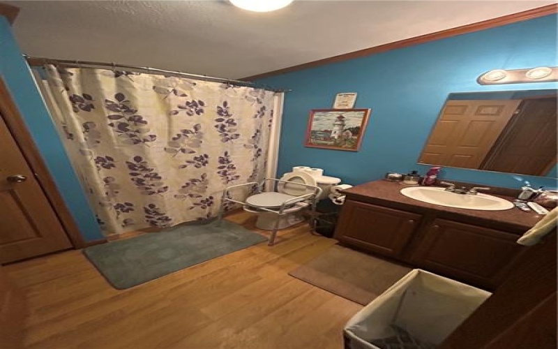406 Davistown Road, Mount Morris, 15349, 3 Bedrooms Bedrooms, 6 Rooms Rooms,2 BathroomsBathrooms,Residential,For Sale,Davistown Road,1699424