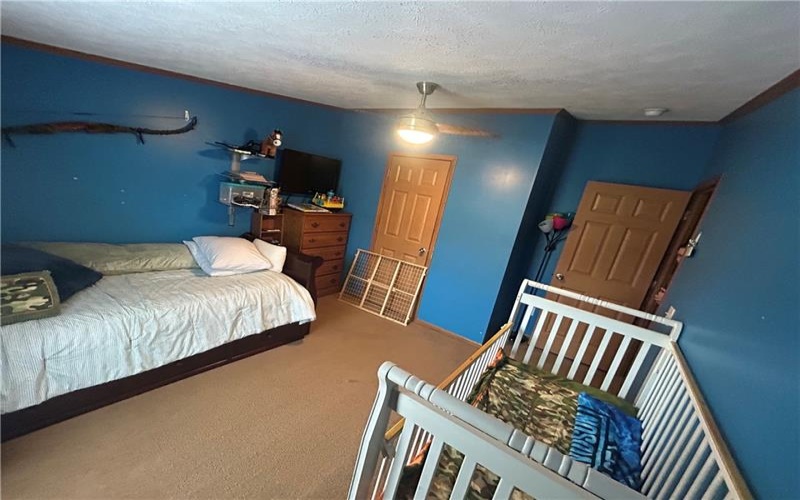 406 Davistown Road, Mount Morris, 15349, 3 Bedrooms Bedrooms, 6 Rooms Rooms,2 BathroomsBathrooms,Residential,For Sale,Davistown Road,1699424