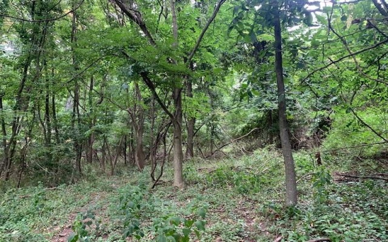 Lot 9 A1A Farmington Place, Greensburg, 15601, ,Farm-acreage-lot,For Sale,Farmington Place,1699566