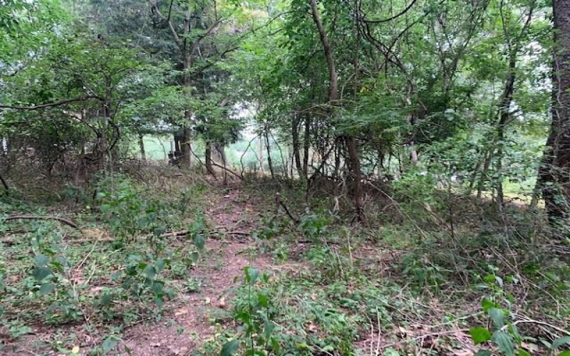 Lot 9 A1A Farmington Place, Greensburg, 15601, ,Farm-acreage-lot,For Sale,Farmington Place,1699566