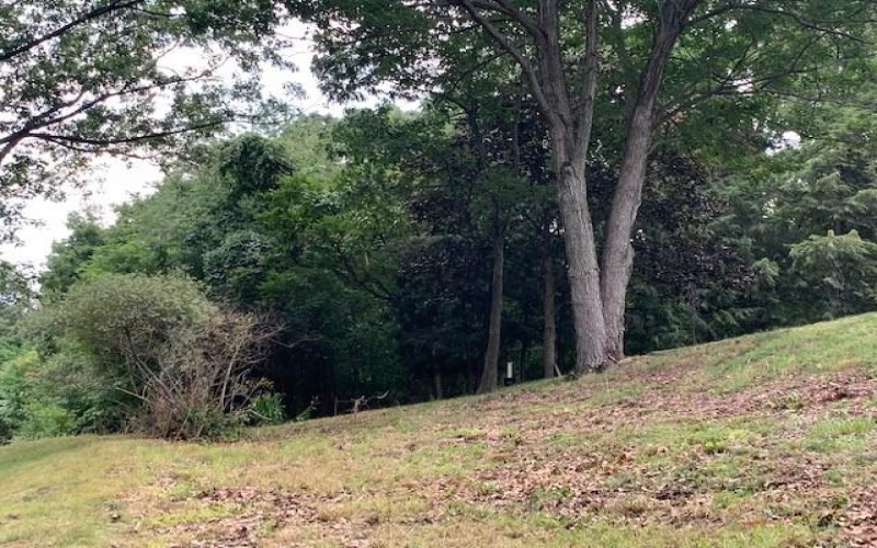 Lot 9 A1A Farmington Place, Greensburg, 15601, ,Farm-acreage-lot,For Sale,Farmington Place,1699566