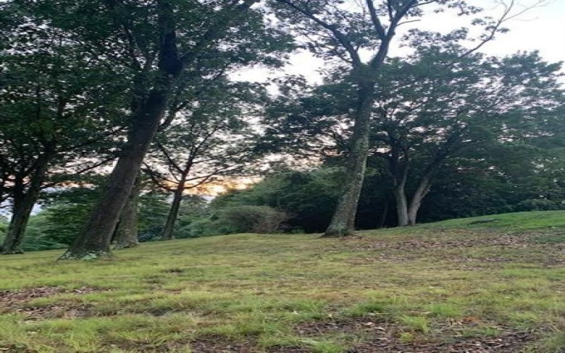 Lot 9 A1A Farmington Place, Greensburg, 15601, ,Farm-acreage-lot,For Sale,Farmington Place,1699566