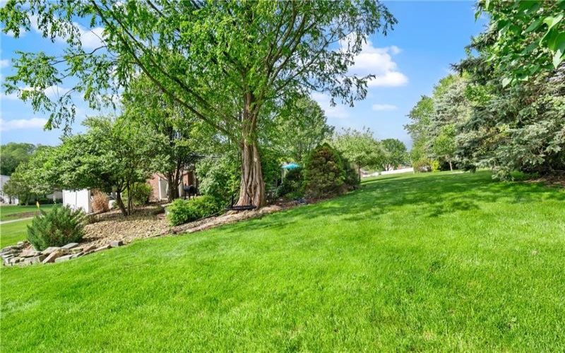 56 Russ St, Uniontown, 15401, 4 Bedrooms Bedrooms, 10 Rooms Rooms,3 BathroomsBathrooms,Residential,For Sale,Russ St,1699561