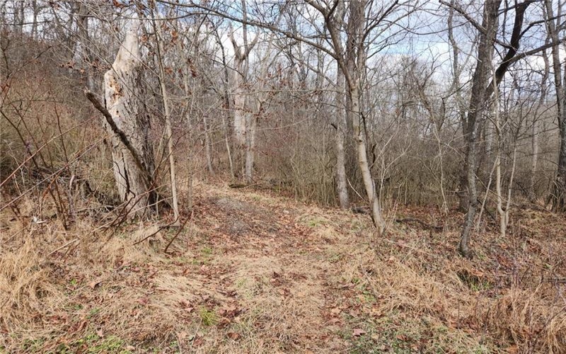 Lot Fisher Lane, North Huntingdon, 15642, ,Farm-acreage-lot,For Sale,NO,Fisher Lane,1692177