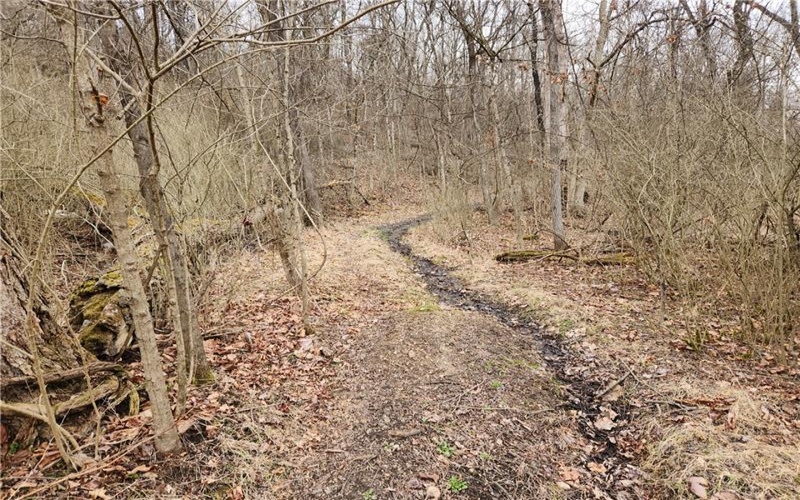 Lot Fisher Lane, North Huntingdon, 15642, ,Farm-acreage-lot,For Sale,NO,Fisher Lane,1692177