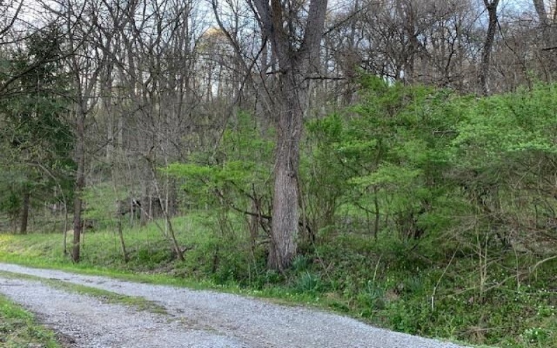 Lot Fisher Lane, North Huntingdon, 15642, ,Farm-acreage-lot,For Sale,NO,Fisher Lane,1692177