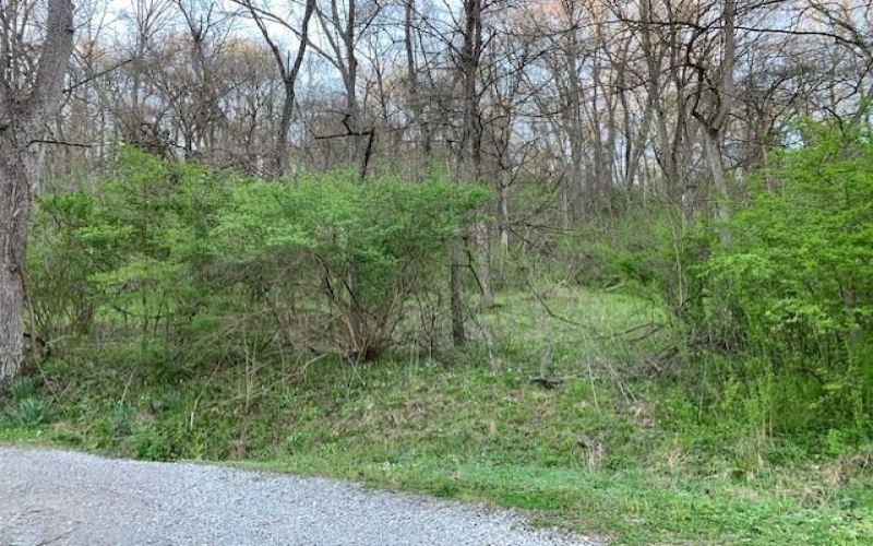 Lot Fisher Lane, North Huntingdon, 15642, ,Farm-acreage-lot,For Sale,NO,Fisher Lane,1692177