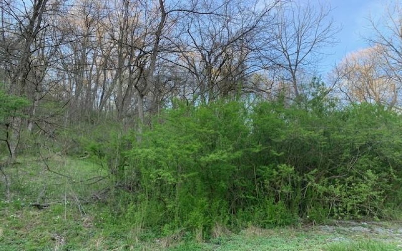 Lot Fisher Lane, North Huntingdon, 15642, ,Farm-acreage-lot,For Sale,NO,Fisher Lane,1692177