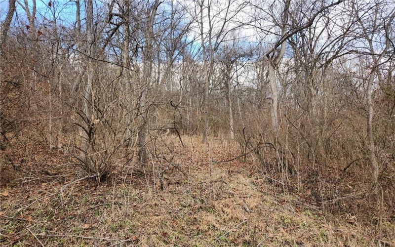 Lot Fisher Lane, North Huntingdon, 15642, ,Farm-acreage-lot,For Sale,NO,Fisher Lane,1692177