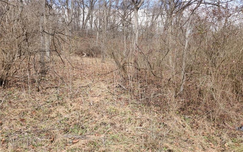 Lot Fisher Lane, North Huntingdon, 15642, ,Farm-acreage-lot,For Sale,NO,Fisher Lane,1692177