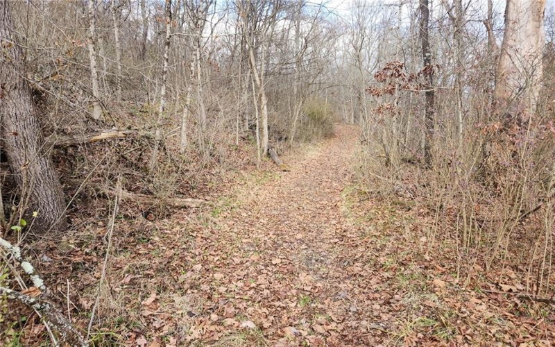 Lot Fisher Lane, North Huntingdon, 15642, ,Farm-acreage-lot,For Sale,NO,Fisher Lane,1692177