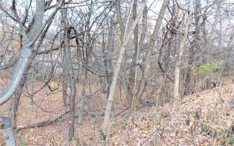0 Allison Hollow Road, Washington, 15301, ,Farm-acreage-lot,For Sale,None,Allison Hollow Road,1699645