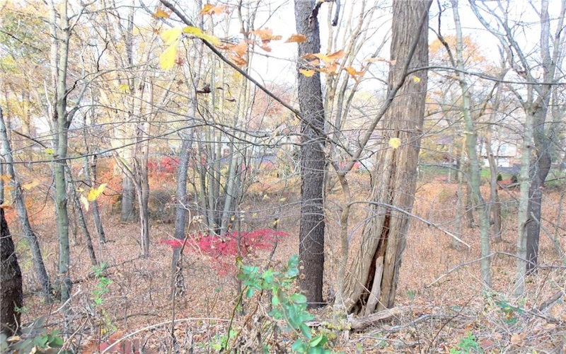 0 Allison Hollow Road, Washington, 15301, ,Farm-acreage-lot,For Sale,None,Allison Hollow Road,1699645