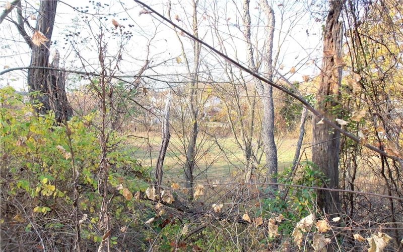 0 Allison Hollow Road, Washington, 15301, ,Farm-acreage-lot,For Sale,None,Allison Hollow Road,1699645