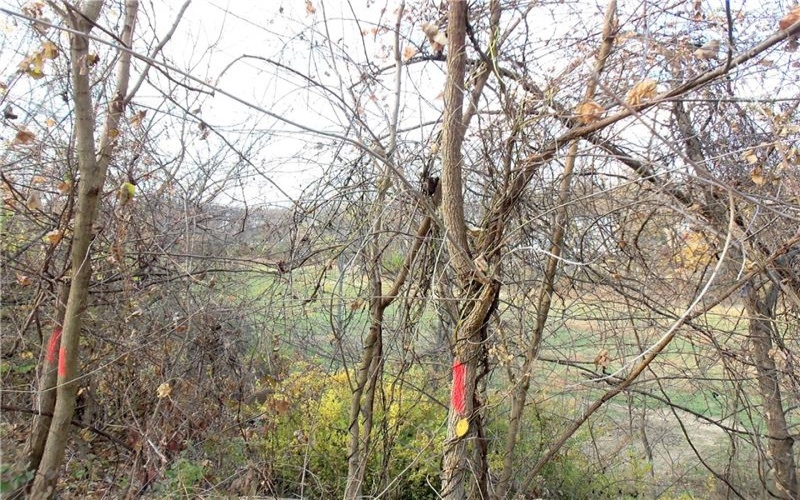 0 Allison Hollow Road, Washington, 15301, ,Farm-acreage-lot,For Sale,None,Allison Hollow Road,1699645