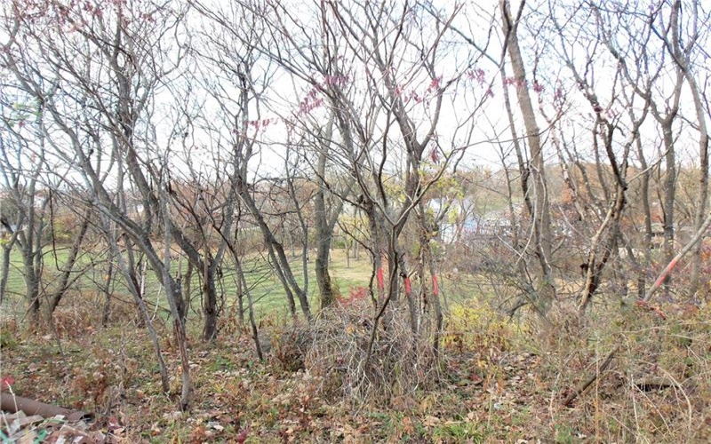 0 Allison Hollow Road, Washington, 15301, ,Farm-acreage-lot,For Sale,None,Allison Hollow Road,1699645
