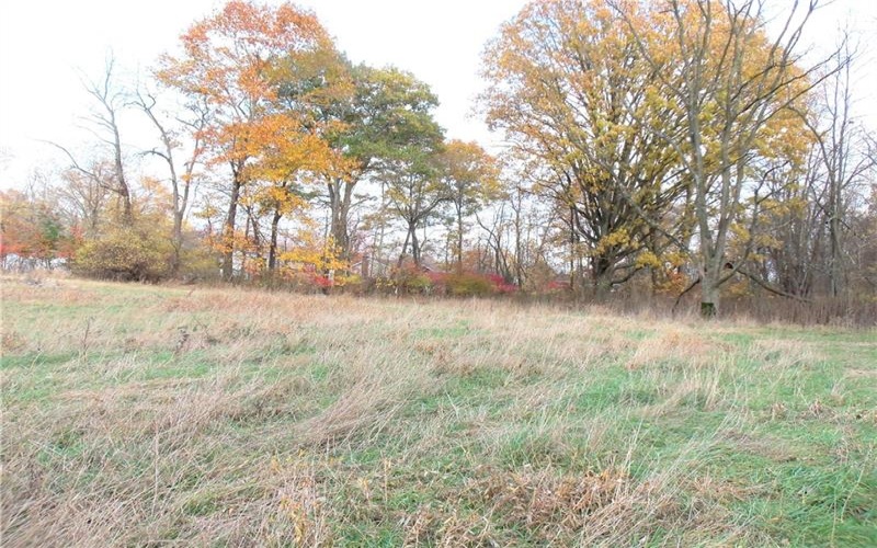 0 Allison Hollow Road, Washington, 15301, ,Farm-acreage-lot,For Sale,None,Allison Hollow Road,1699645
