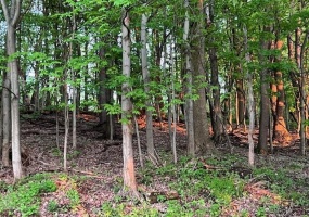 0 Jane St, Jeannette, 15644, ,Farm-acreage-lot,For Sale,Jane St,1700154